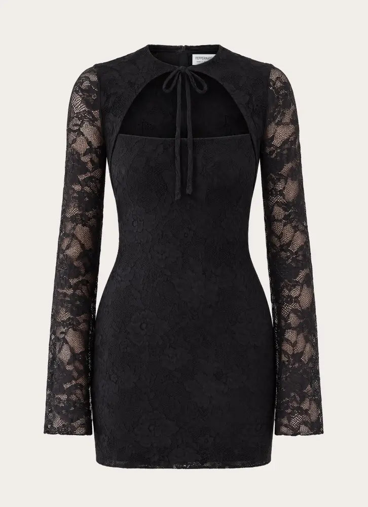 Norelle Lace Mini Dress - Black - Mini Dresses